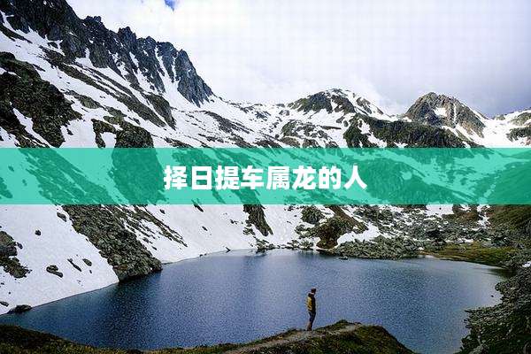 择日提车属龙的人