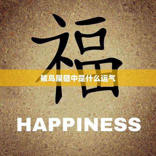 被鸟屎砸中是什么运气