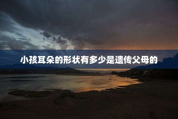 小孩耳朵的形状有多少是遗传父母的