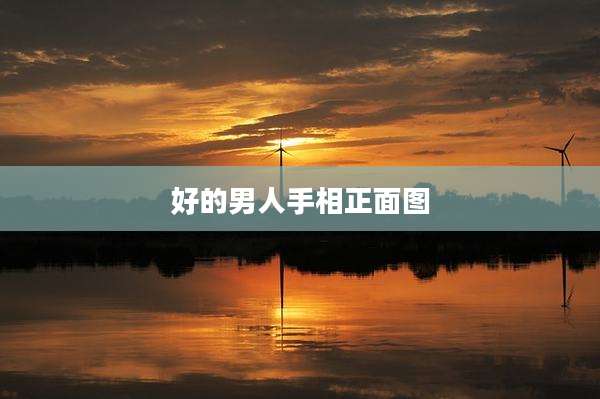 好的男人手相正面图