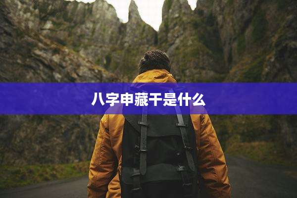 八字申藏干是什么