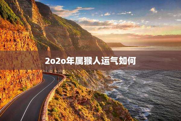 2o2o年属猴人运气如何