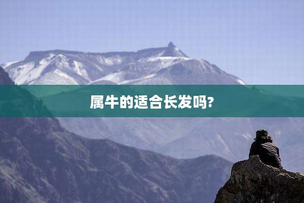 属牛的适合长发吗?