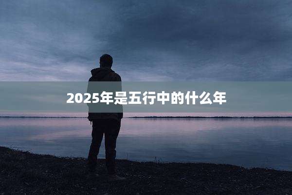 2025年是五行中的什么年