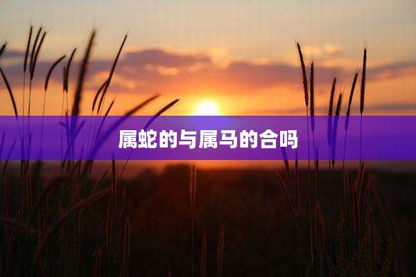 属蛇的与属马的合吗