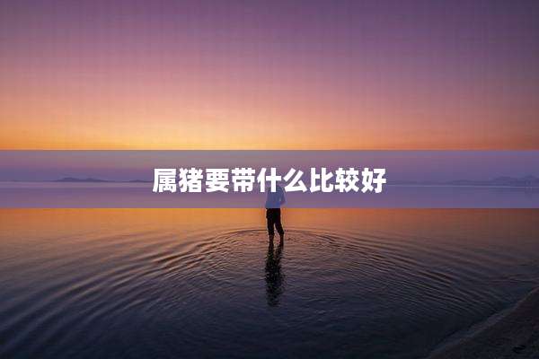 属猪要带什么比较好