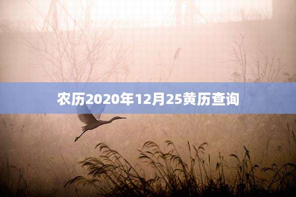农历2020年12月25黄历查询