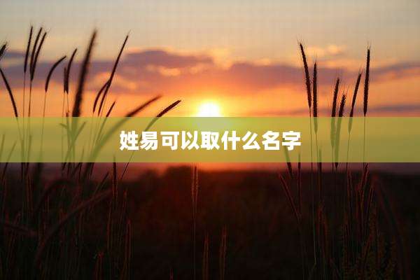 姓易可以取什么名字