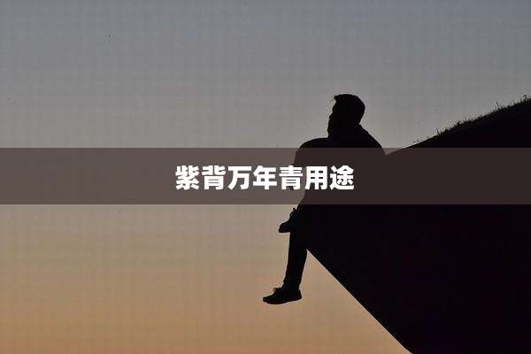 紫背万年青用途