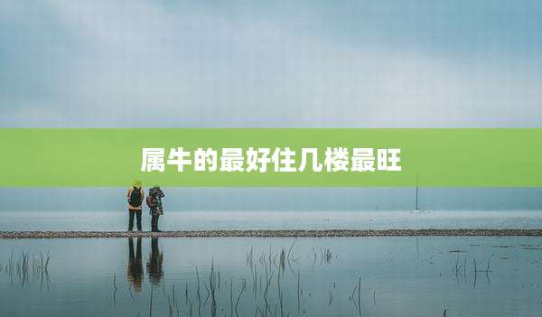属牛的最好住几楼最旺