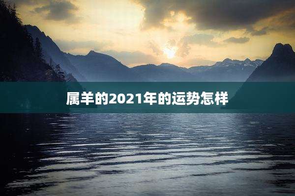 属羊的2021年的运势怎样