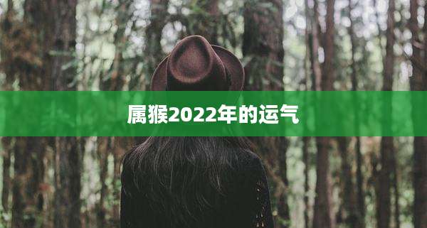 属猴2022年的运气