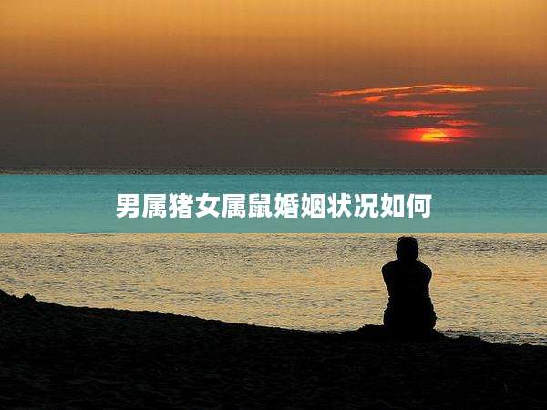 男属猪女属鼠婚姻状况如何