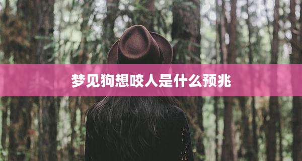 梦见狗想咬人是什么预兆