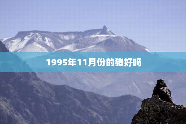 1995年11月份的猪好吗