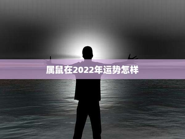 属鼠在2022年运势怎样