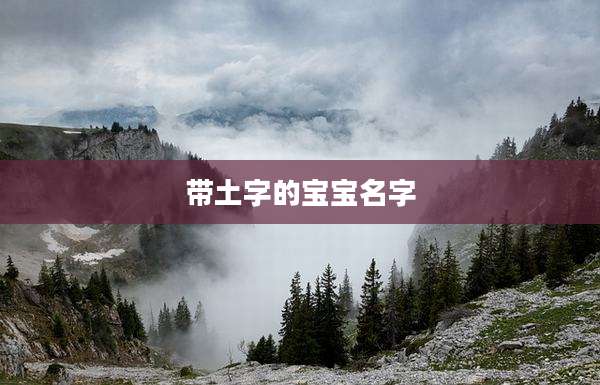 带土字的宝宝名字