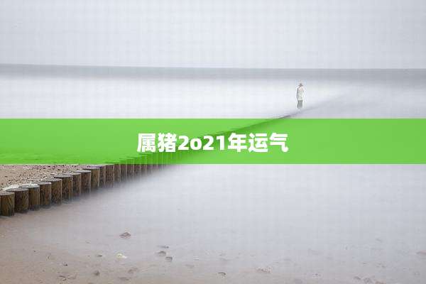 属猪2o21年运气