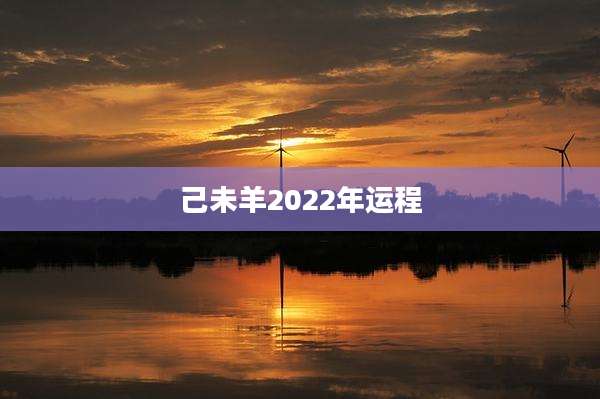 己未羊2022年运程