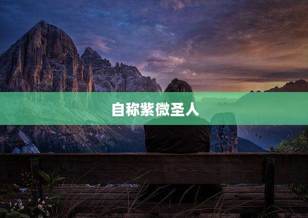 自称紫微圣人