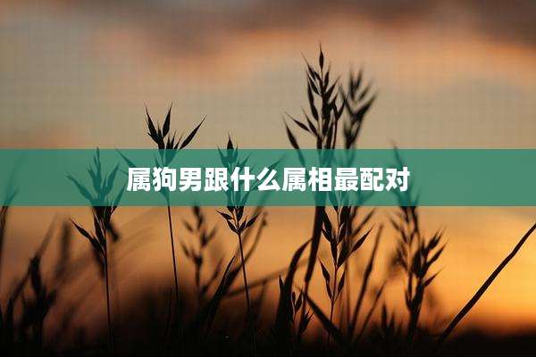属狗男跟什么属相最配对