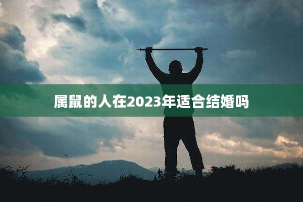 属鼠的人在2023年适合结婚吗