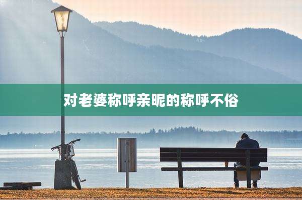 对老婆称呼亲昵的称呼不俗