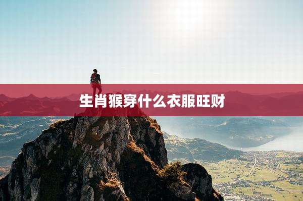 生肖猴穿什么衣服旺财
