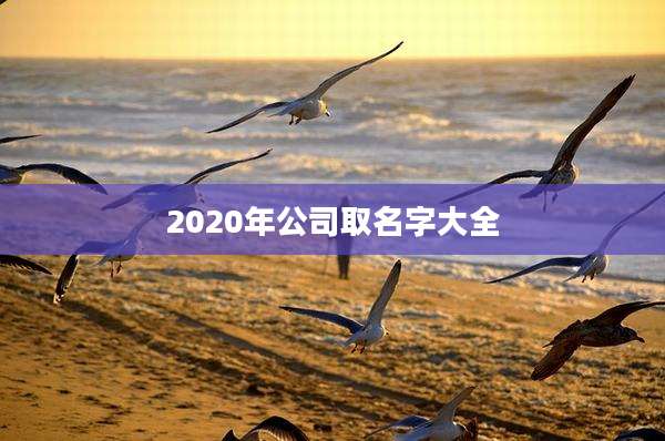 2020年公司取名字大全