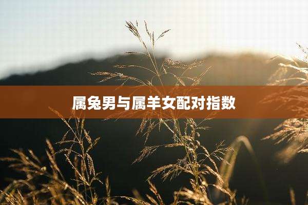 属兔男与属羊女配对指数