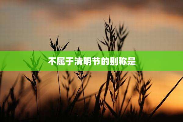 不属于清明节的别称是