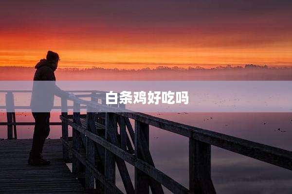 白条鸡好吃吗