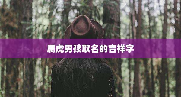 属虎男孩取名的吉祥字