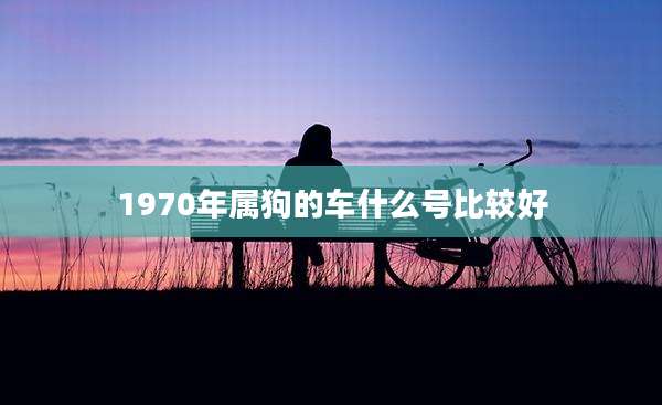 1970年属狗的车什么号比较好