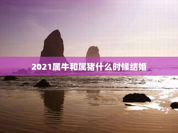 2021属牛和属猪什么时候结婚
