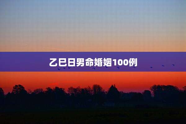 乙巳日男命婚姻100例