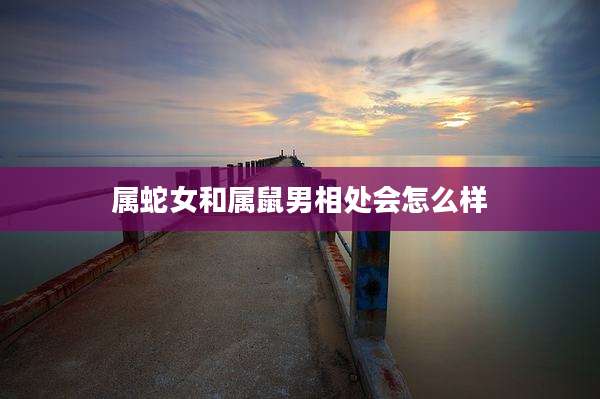 属蛇女和属鼠男相处会怎么样