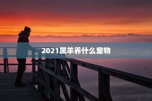 2021属羊养什么宠物