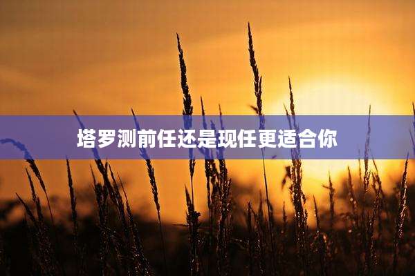 塔罗测前任还是现任更适合你