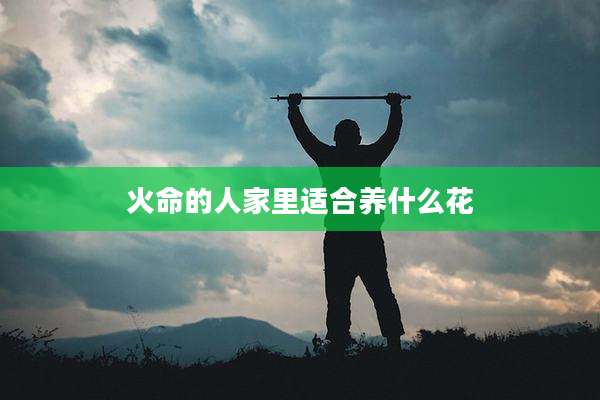 火命的人家里适合养什么花
