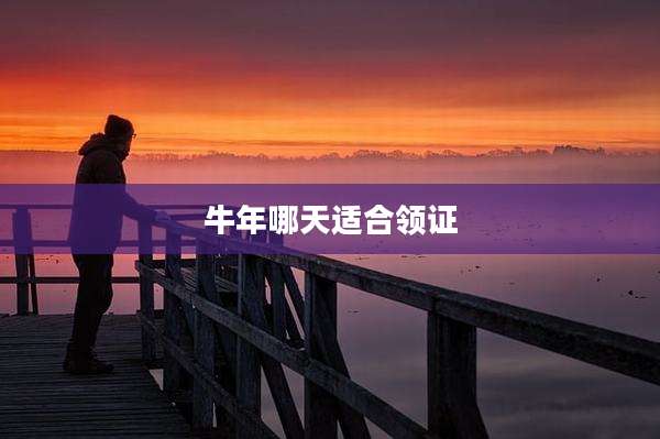 牛年哪天适合领证