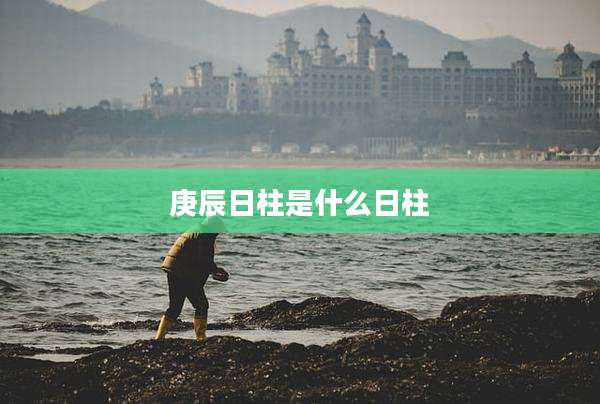 庚辰日柱是什么日柱