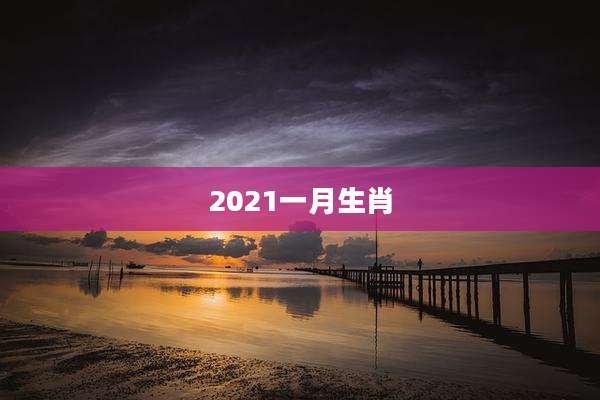 2021一月生肖