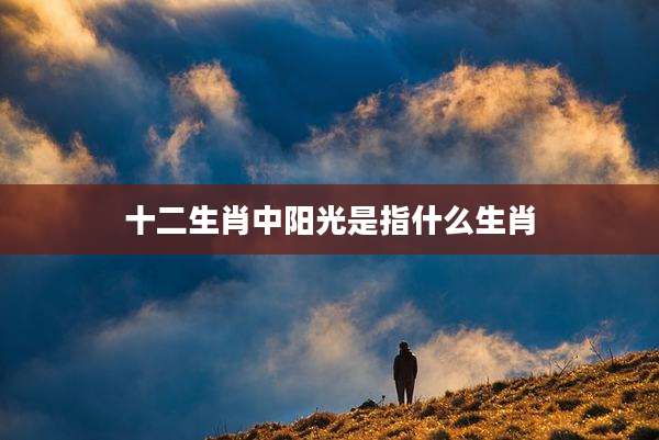 十二生肖中阳光是指什么生肖