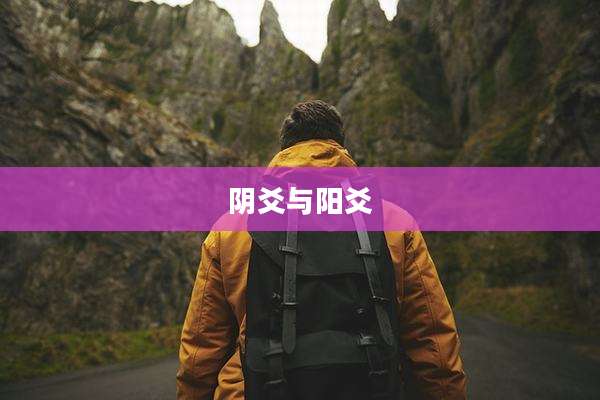 阴爻与阳爻