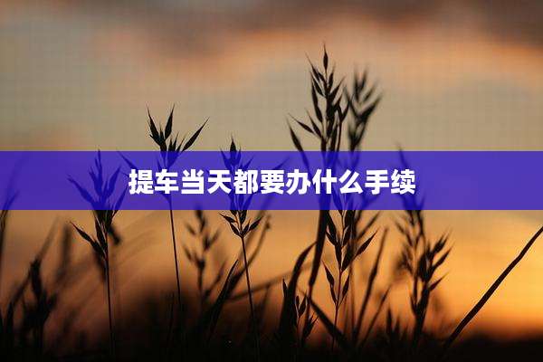 提车当天都要办什么手续