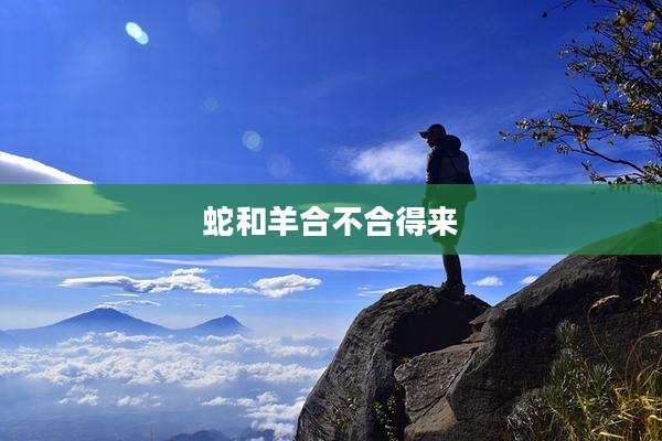 蛇和羊合不合得来