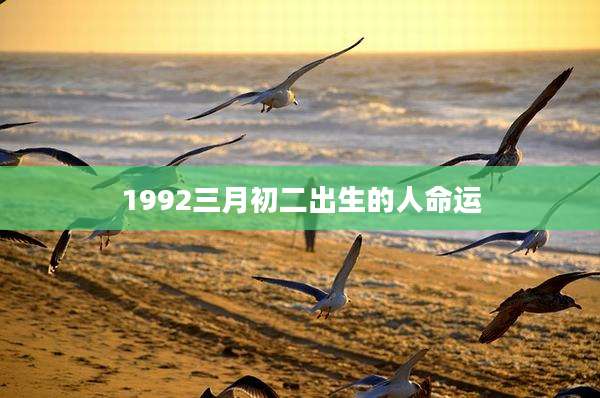 1992三月初二出生的人命运