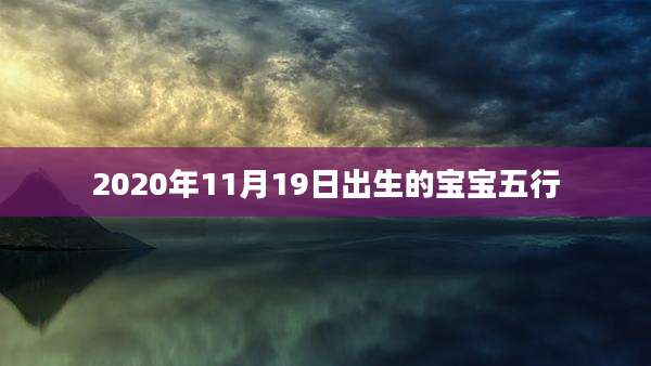 2020年11月19日出生的宝宝五行