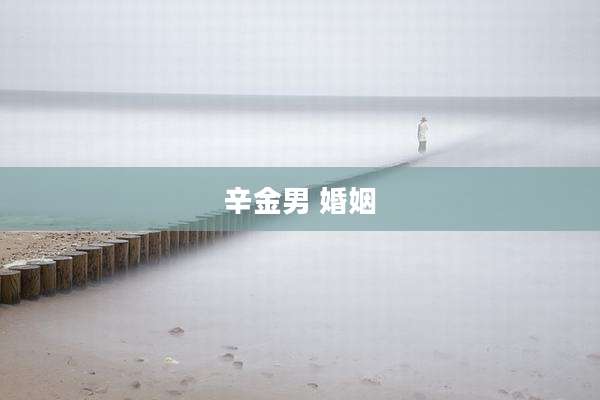 辛金男 婚姻